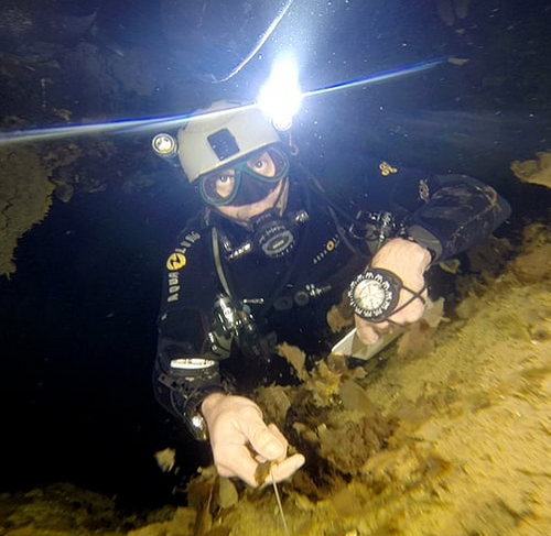 Pandora Cave Mexico, Under the Jungle, Cenote Exploration