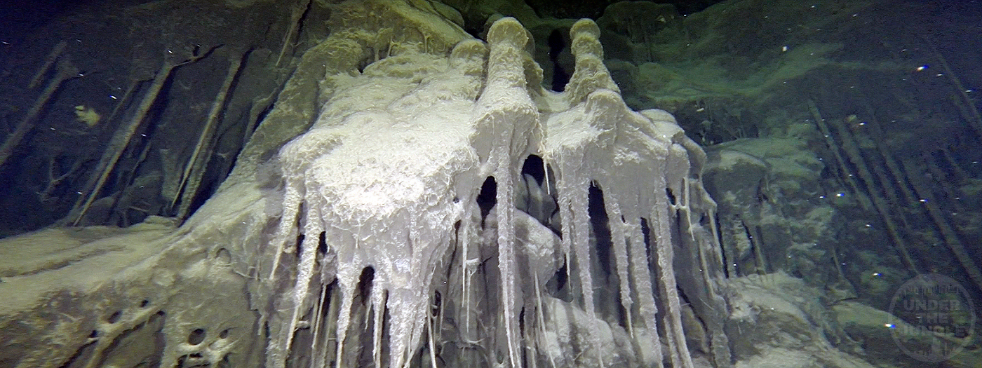 Cave Bacteria, Mexico, Cave Exploration, Natalie, Vincent, Pandora