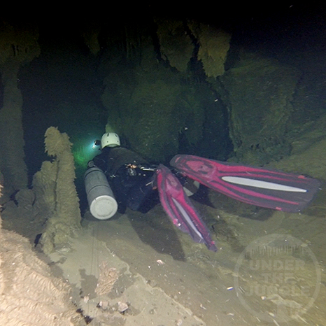 Cave Bacteria, Underwater Bacteria, Cenote Exploration Mexico, Natalie