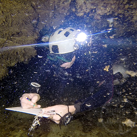 Cave Exploration Mexico, Cenote Exploration, Pandora, Vincent