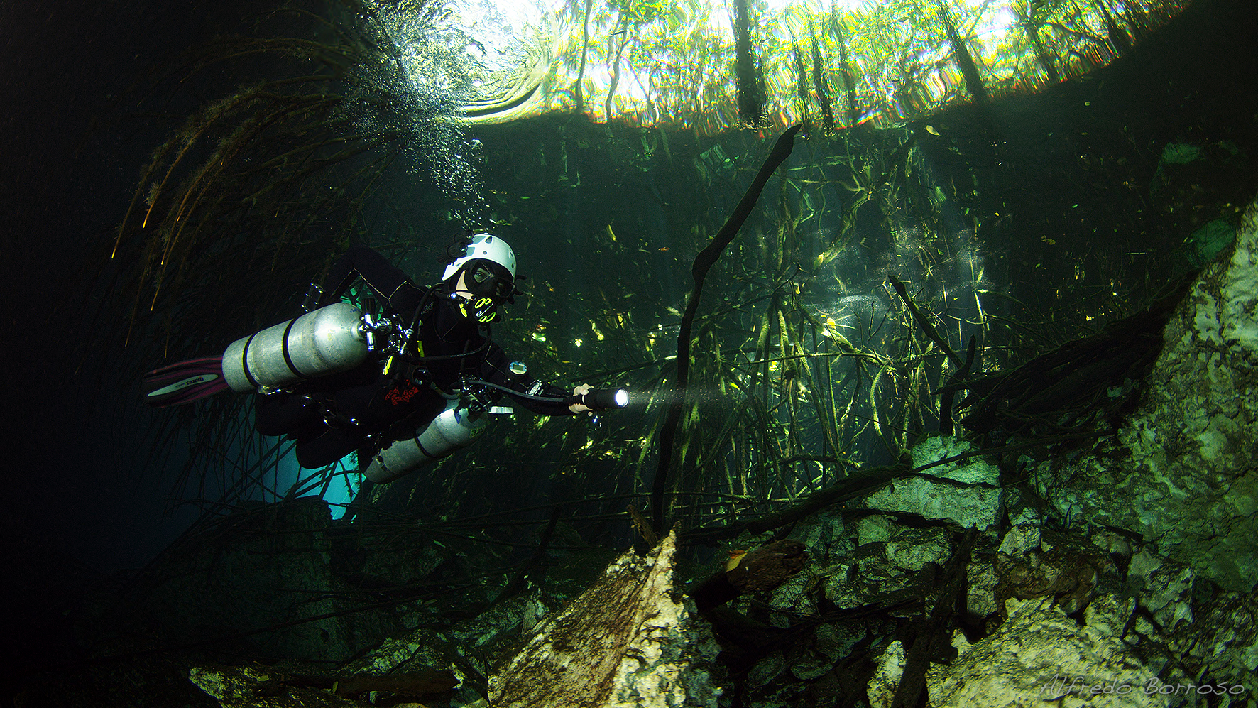 Cenote Ponderosa, Cenote Photos, Cenote Diving Roots, Natalie Gibb, Cavern Diving Cancun