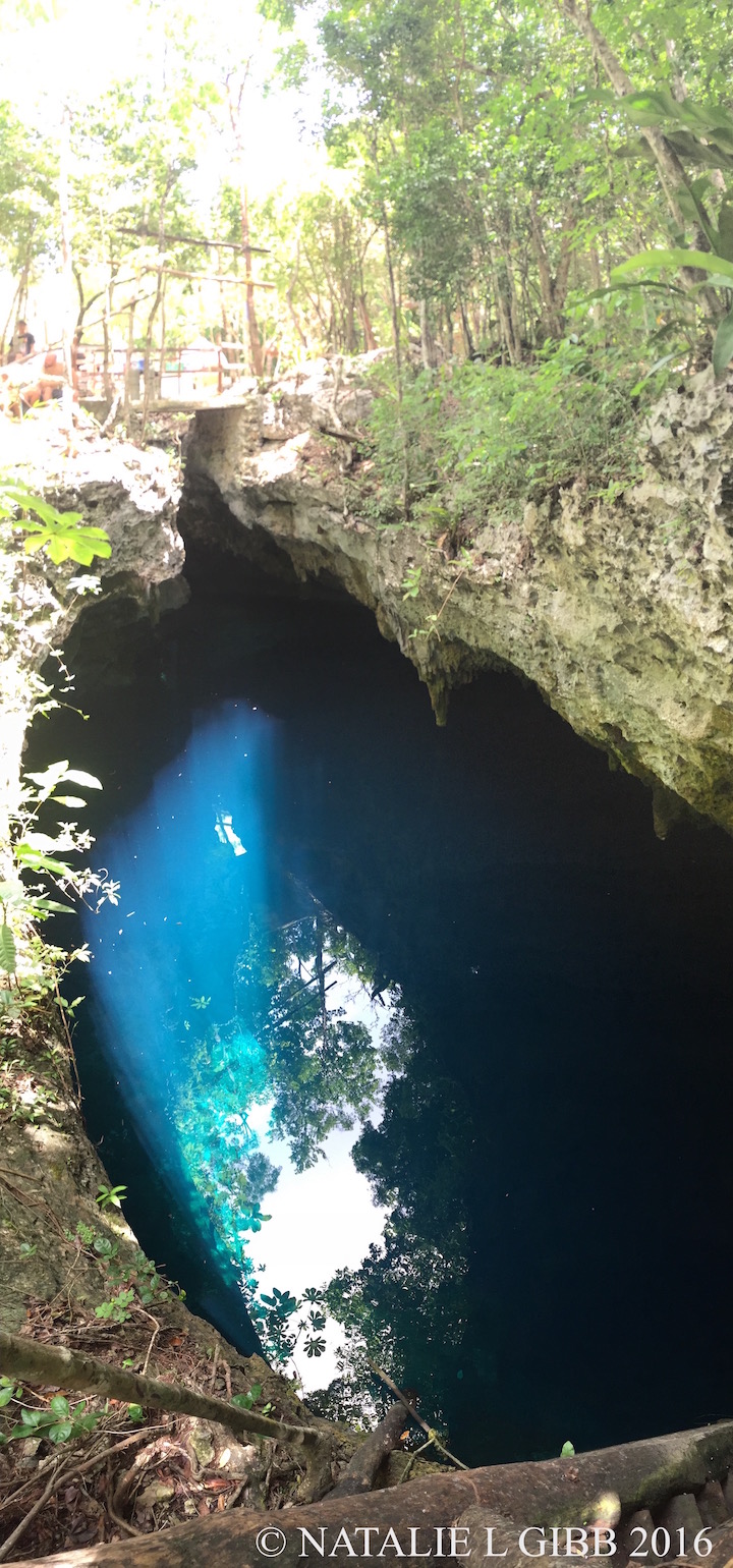 Pit Cenote Photo, Cenote Diving Photos, Cenote Diving Mexico, Diving The Pit, Cenote Diving Akumal