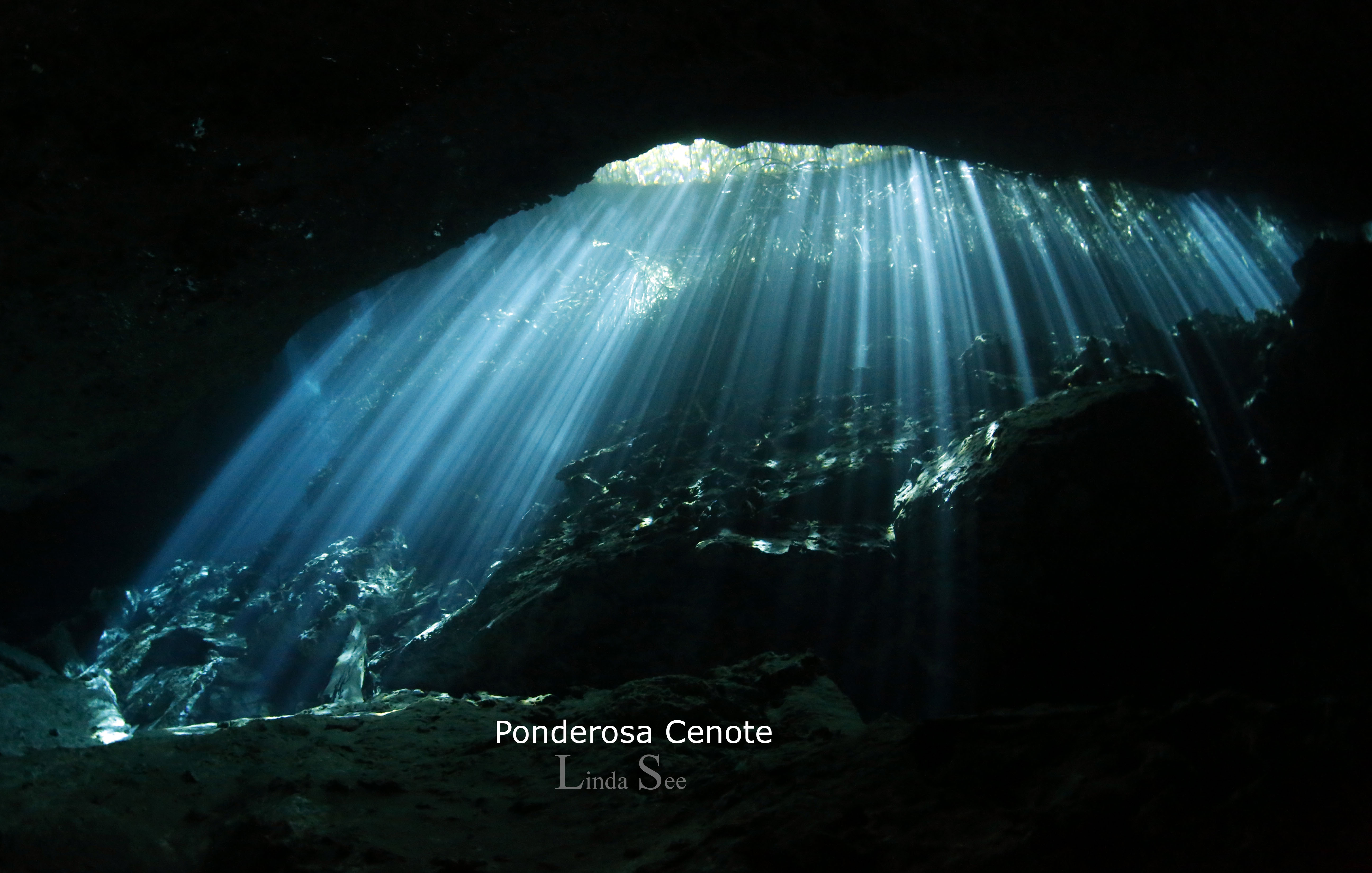 Cenote Ponderosa, Cenote Garden of Eden, Linda See Photography, Cenote Diving Akumal, Cenote Tour Akumal