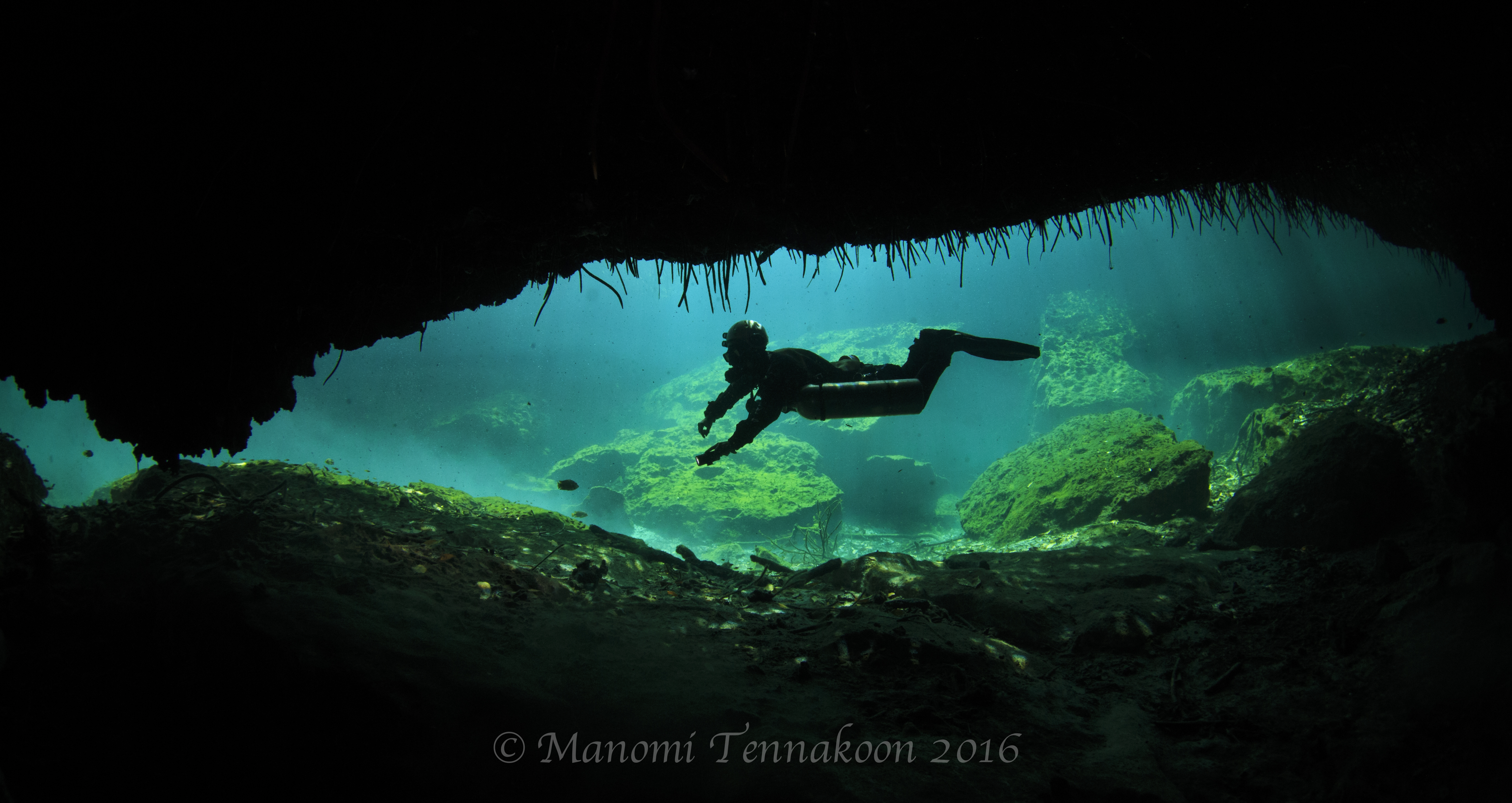 Cavern Diving, Cenote Diving, Casa Cenote, Mexico Cenotes, Natalie L Gibb