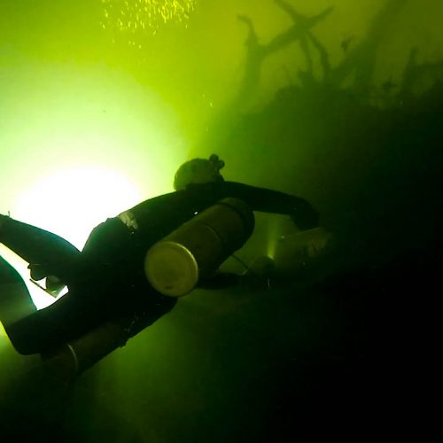 Cenote Tucan, Under the Jungle, Mexican Cave Exploration, Cenote Exploration, Vincent Rouquette-Cathala