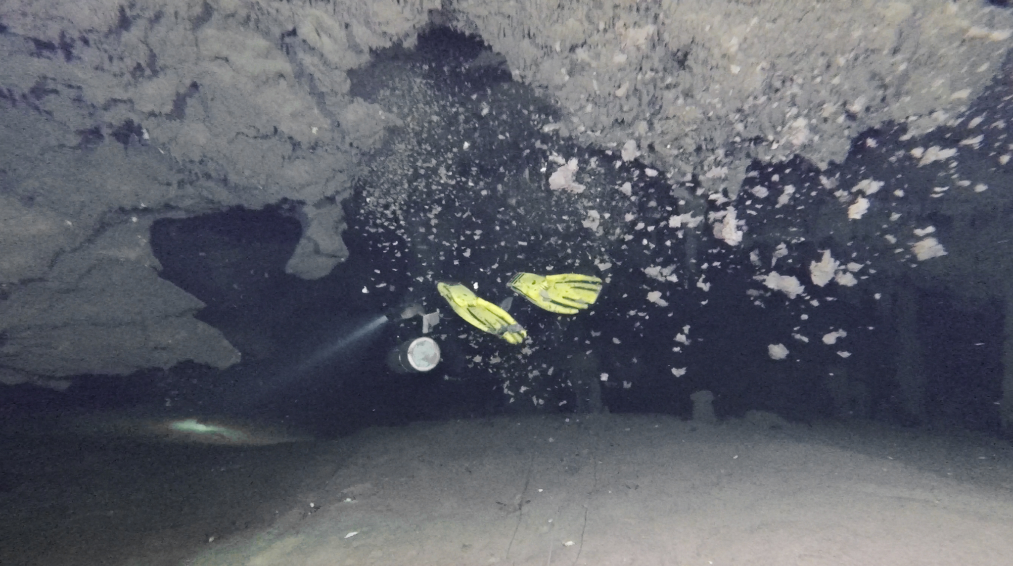 Under the Jungle, Cenote Melmak, Mexican Cave Exploration, Vincent Rouquette Cathala, Natalie Gibb, Cenote Diving