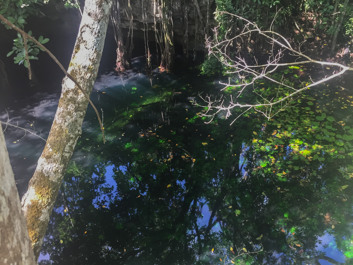 Sinkhole Diving, Yucatan Diving, Cave Diving Mexico, Under the Jungle, Cave Exploration, Ruben Rodriguez Flores