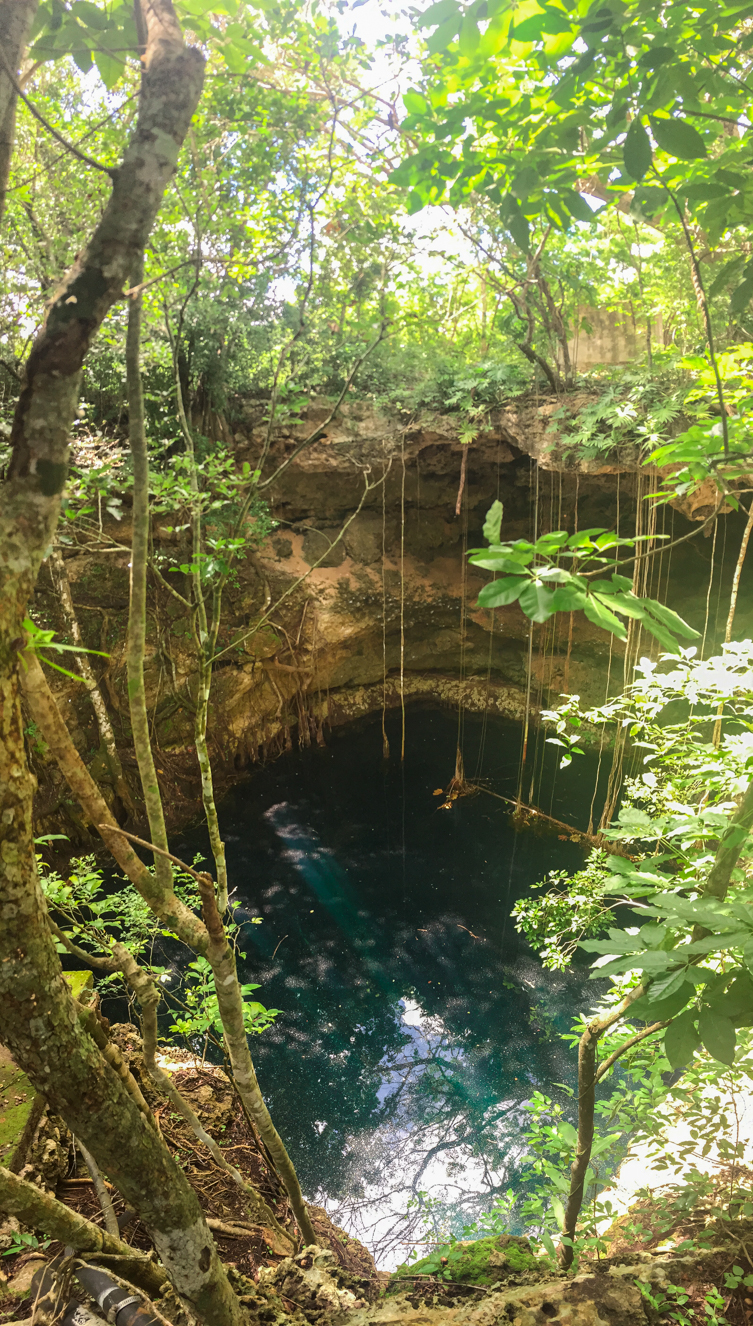 Sinkhole Yucatan, Under the Jungle, Sink Hole Diving, Cenote Diving, Cenote Exploration Mexico