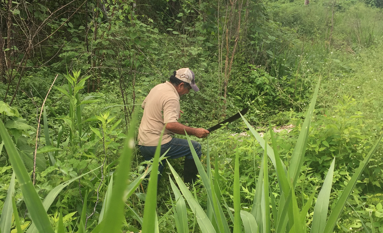 Under the Jungle, Ruben Rodriguez, Yucatan, Cave Exploration, Cenote Exploration