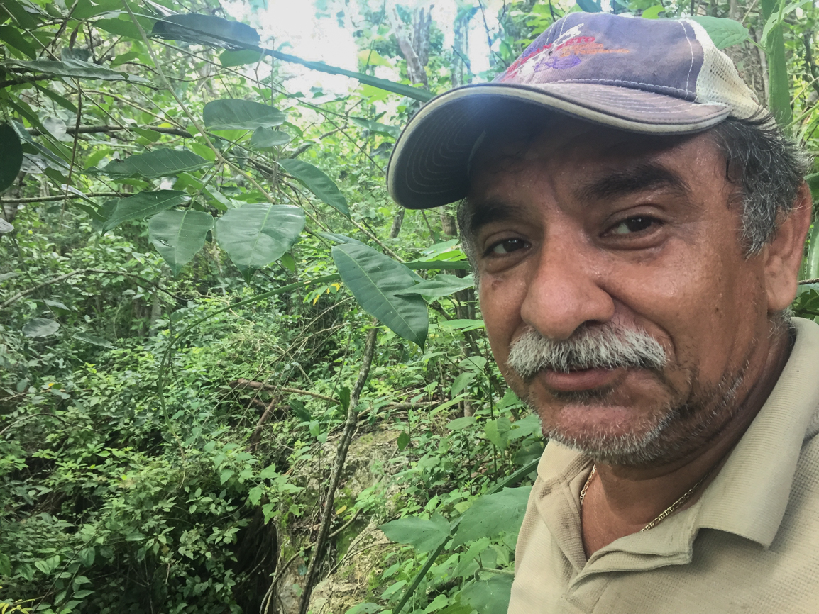 Sinkhole Diving, Yucatan Diving, Cave Diving Mexico, Under the Jungle, Cave Exploration, Ruben Rodriguez Flores