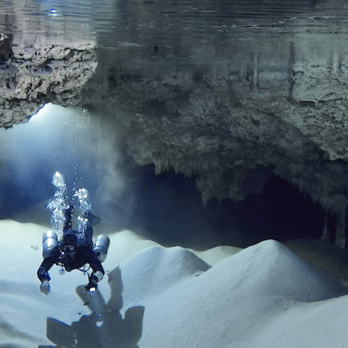 Tatich Cenote, Cave Exploration, Cave Diving, Under the Jungle, Mexico Diving