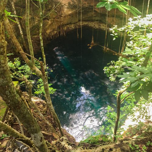 Sinkhole Heaven, Under the Jungle