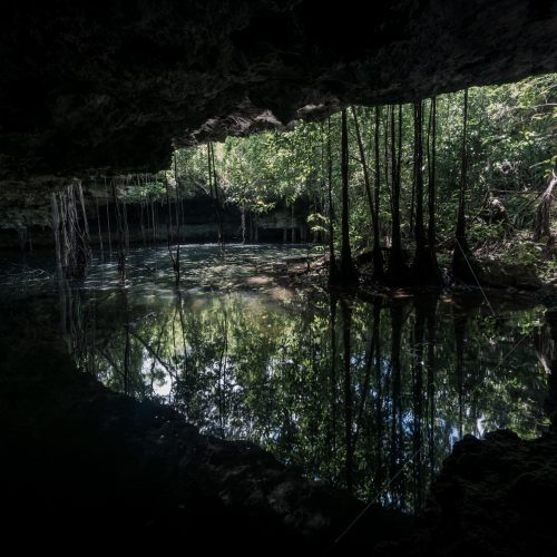 Sac Wakax, White Cow Cenote, Sinkhole Diving, Under the Jungle, Cave Exploration, Yucatan cave Exploration