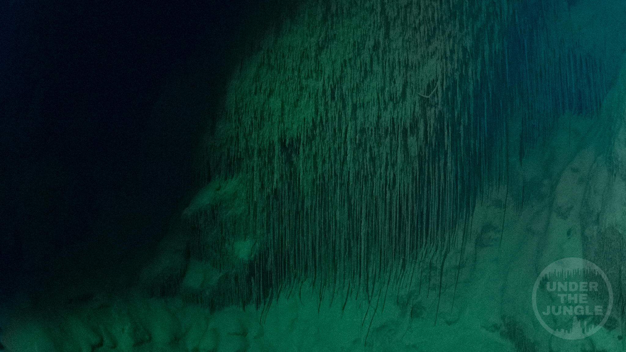 Underwater Bacterial Straws, Under the Jungle, Cenote Pandora, Pandora Cave, Mexico Cave Diving