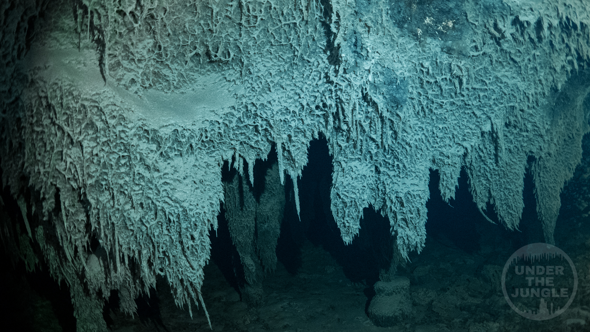 Under the Jungle, Pandora Cave, Bacterial Cave, Bacterial Cenote, Underwater Cave Exploration