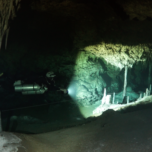 DAGOBAH, UNDER THE JUNGLE, NATALIE GIBB, VINCENT ROUQUETTE CATHALA, MEXICO CAVE DIVING