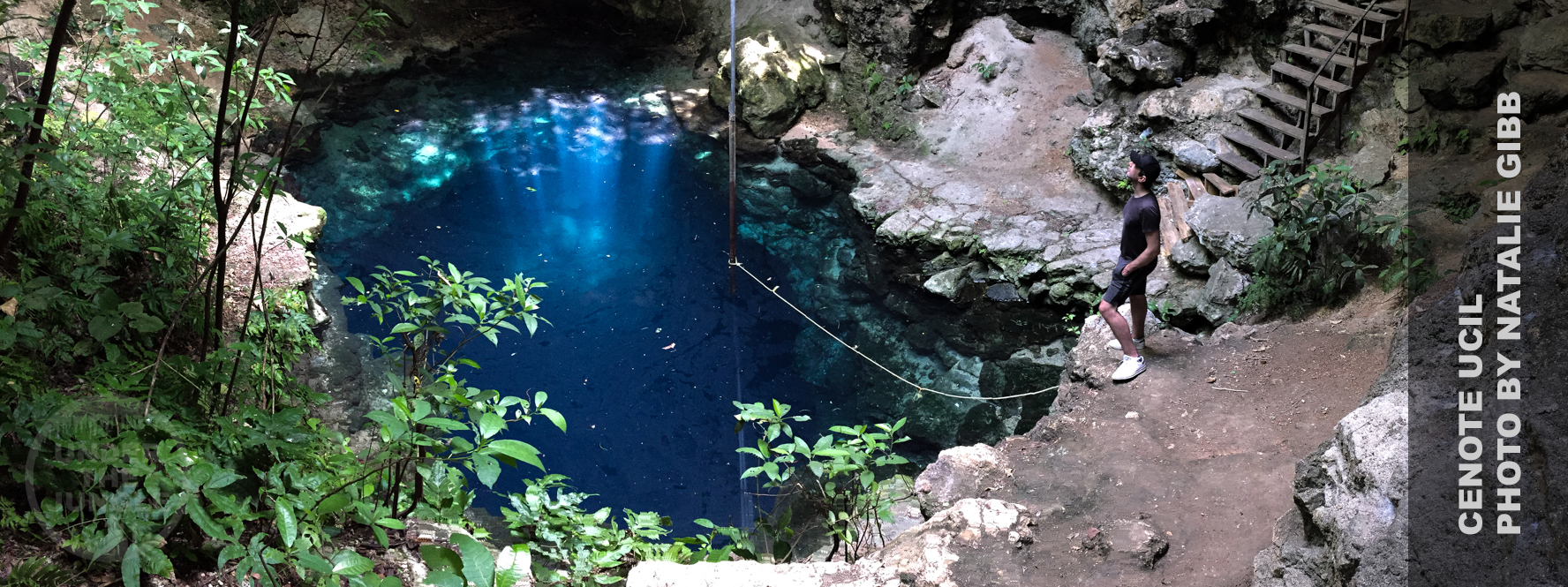 Cenote Ucil, Under the Jungle, Yucatan Diving, Cave Diving, Mexico Diving, Technical Diving