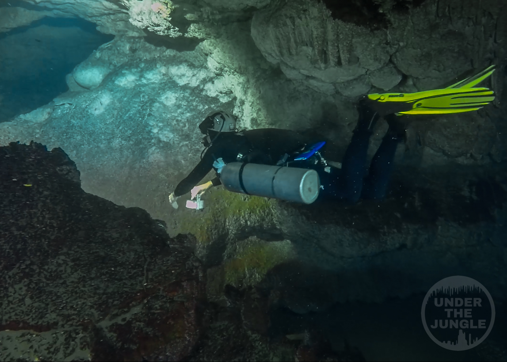 Under the Jungle, Yucatan Cave Diving, Yucatan Sinkholes, Sinkhole Diving, Cave Diving Mexico