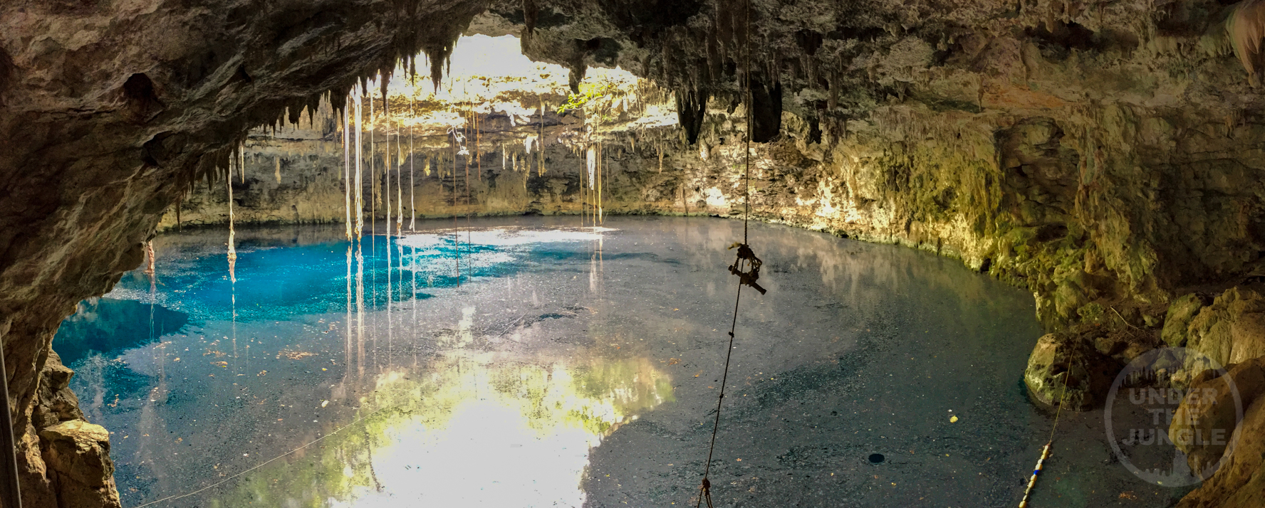 Sinkhole Diving In Yucatan State Under The Jungle