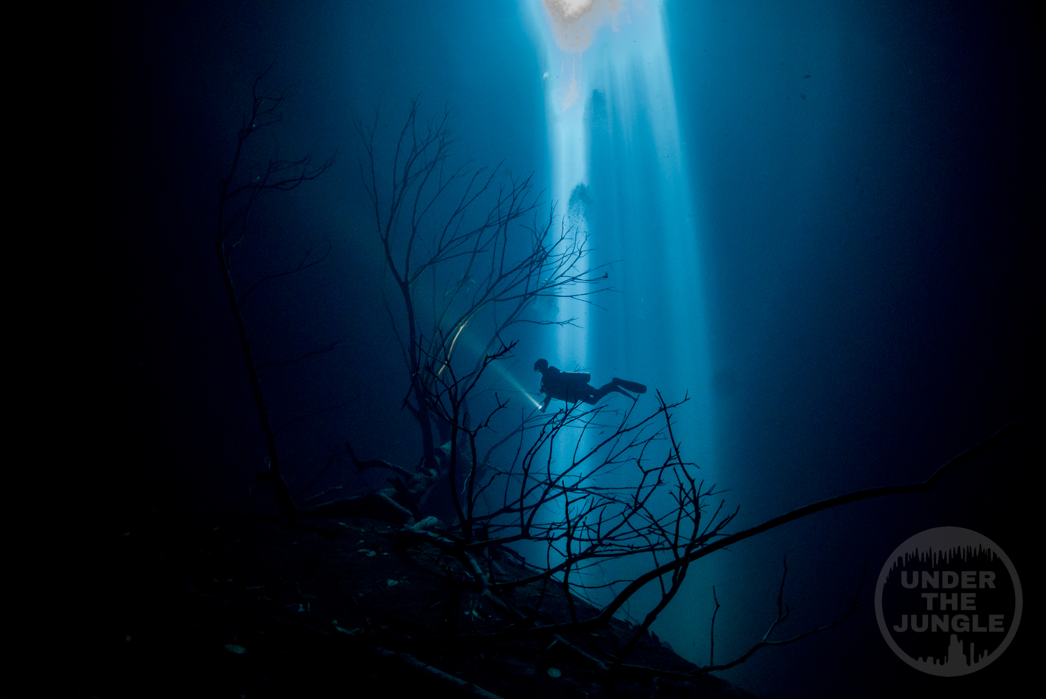 SINKHOLE EXPLORATION IN YUCATAN